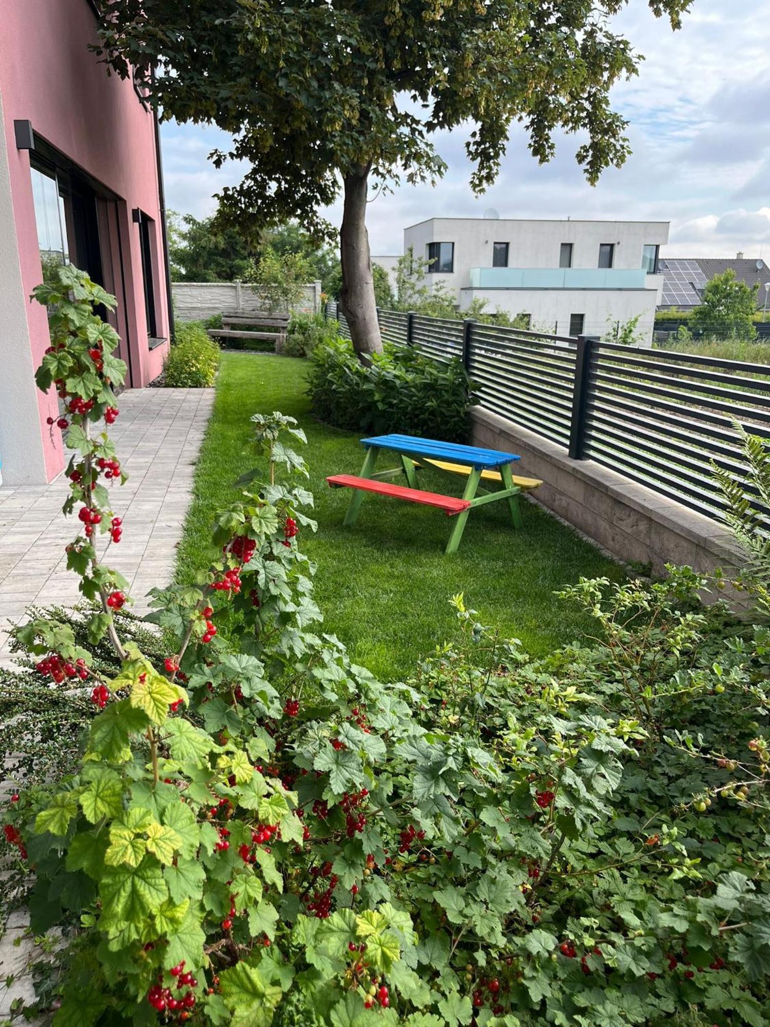 Apartment Rose Close To Vienna & Airport Maria Ellend