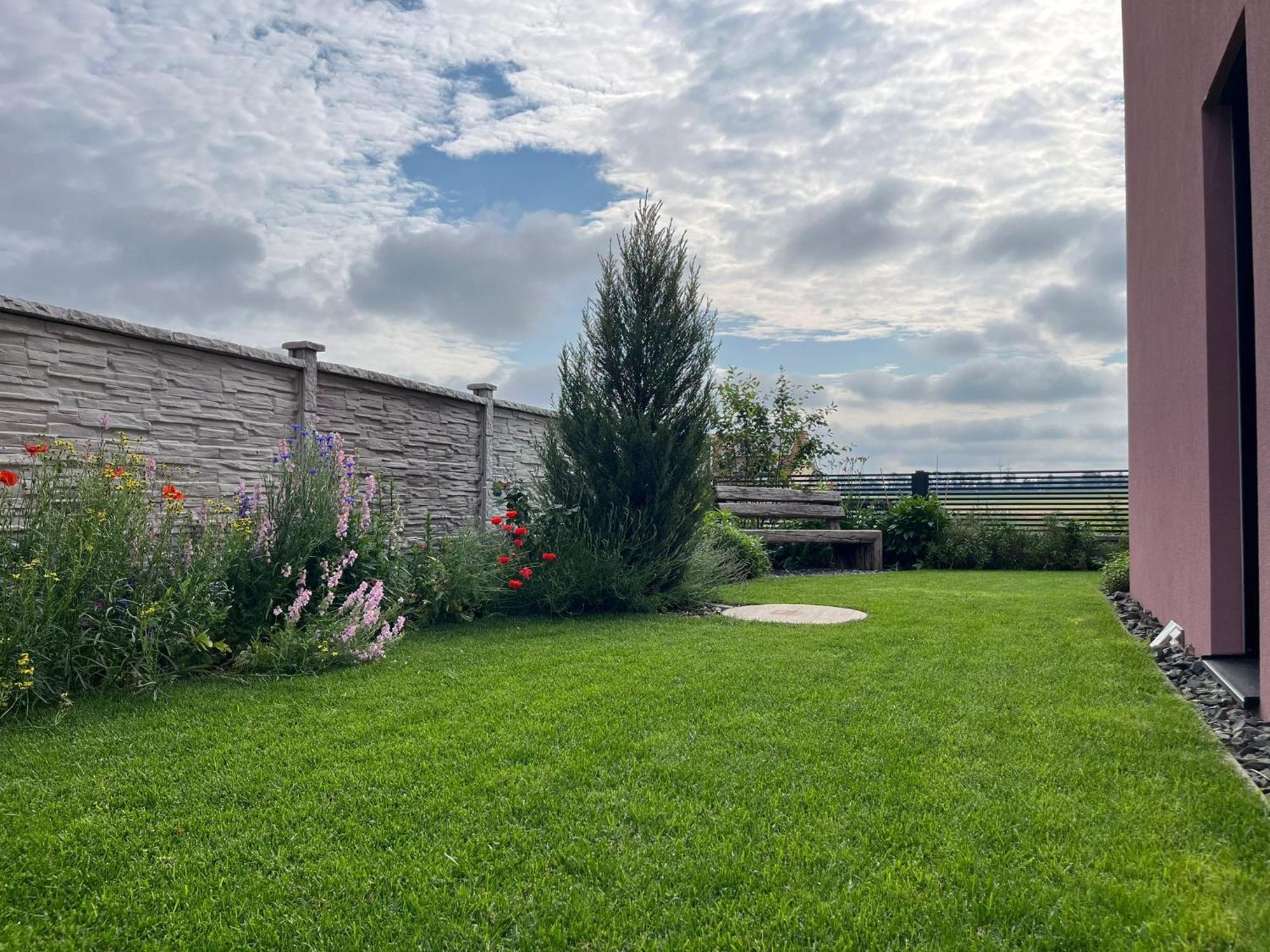 Rose Close To Vienna & Airport Maria Ellend